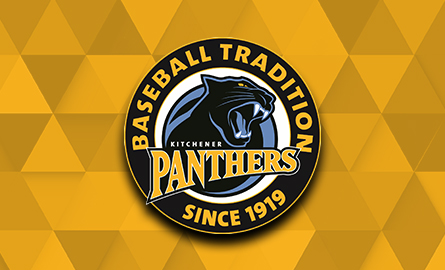Panthers graphic image