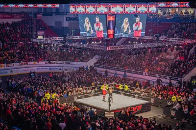 Wrestlers in a wrestling ring with an audience watching them